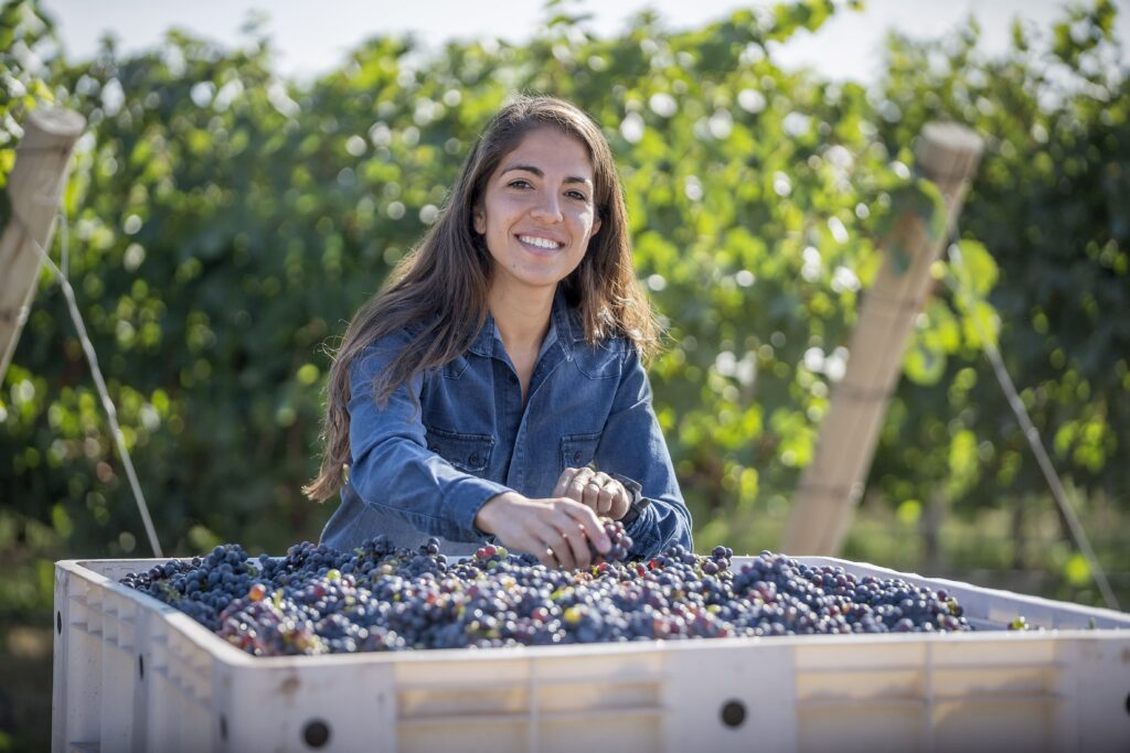 Interpretando el dictado de la naturaleza: Ana Paula Bartolucci, Chief Winemaker de Chandon, lideró una vendimia de precisión quirúrgica donde la resiliencia técnica fue la clave para transformar el agua en frescura histórica