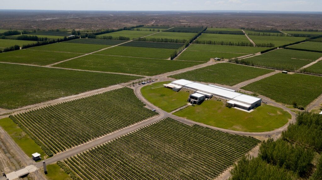 Bodega Malma