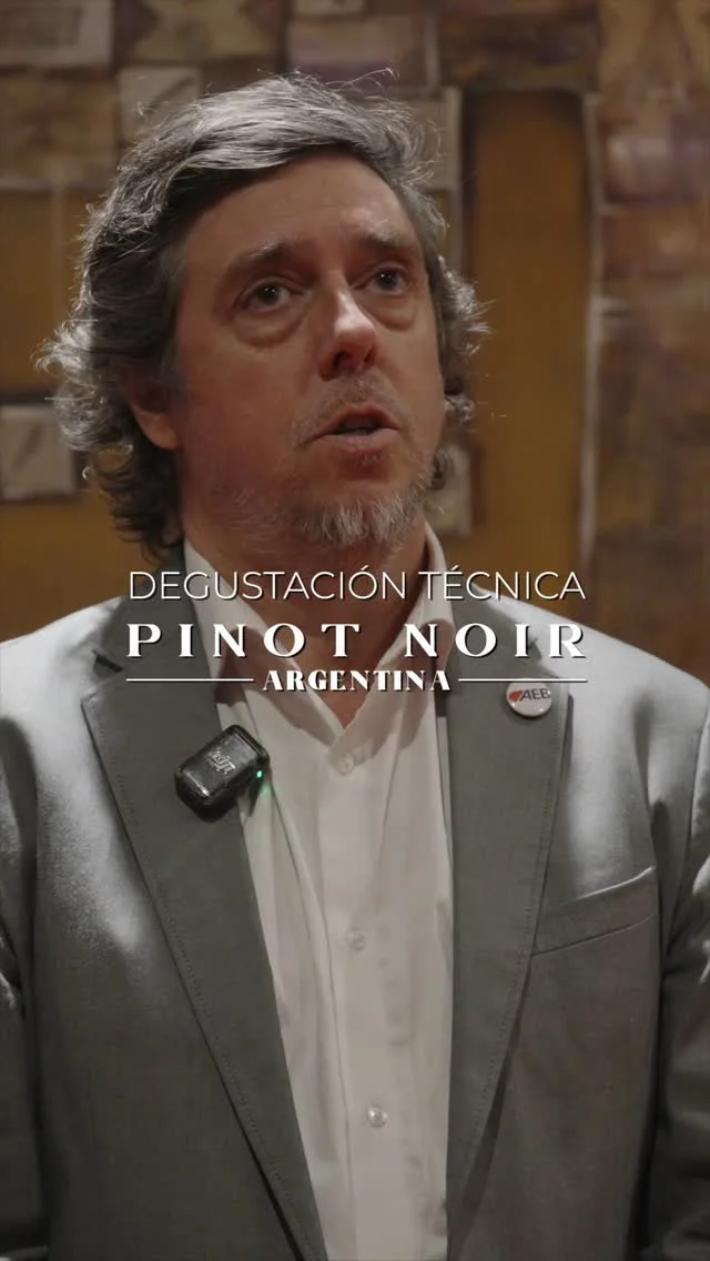 Degustación Técnica de Pinot Noir Argentina 2025 en @sheraton_mendoza

Nota exclusiva a Germán Carrasco, Country Manager AEB Argentina. 

Gracias @aeb_argentina por acompañarnos.