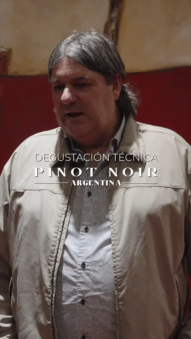 Degustación Técnica de Pinot Noir 2025

Leo Puppato: 
La importancia de San Patricio del Chañar en el posicionamiento del Pinot Noir de Patagonia.