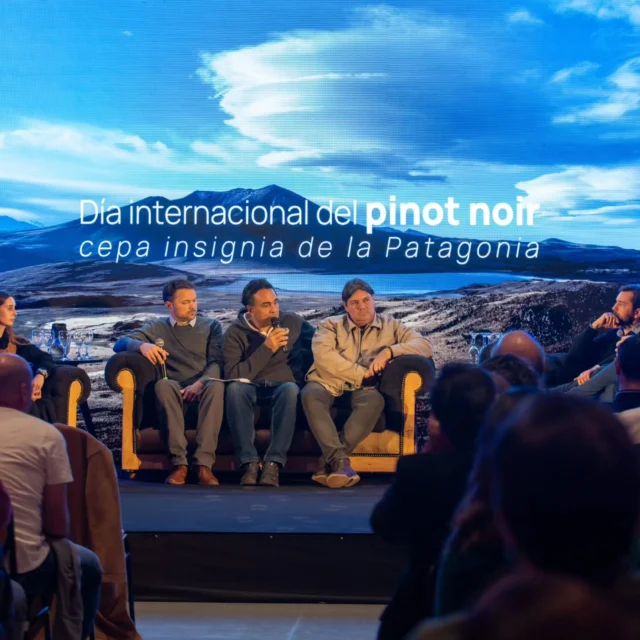 Día Internacional del Pinot Noir 

Gran festejo en Neuquén, con todos los referentes de Patagonia Norte.
